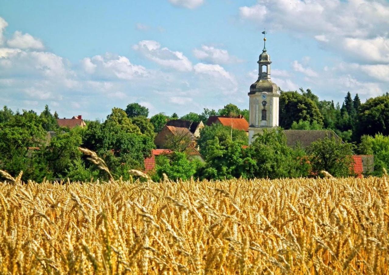 Naturhotel Etzdorfer Hof Schoenburg Zewnętrze zdjęcie