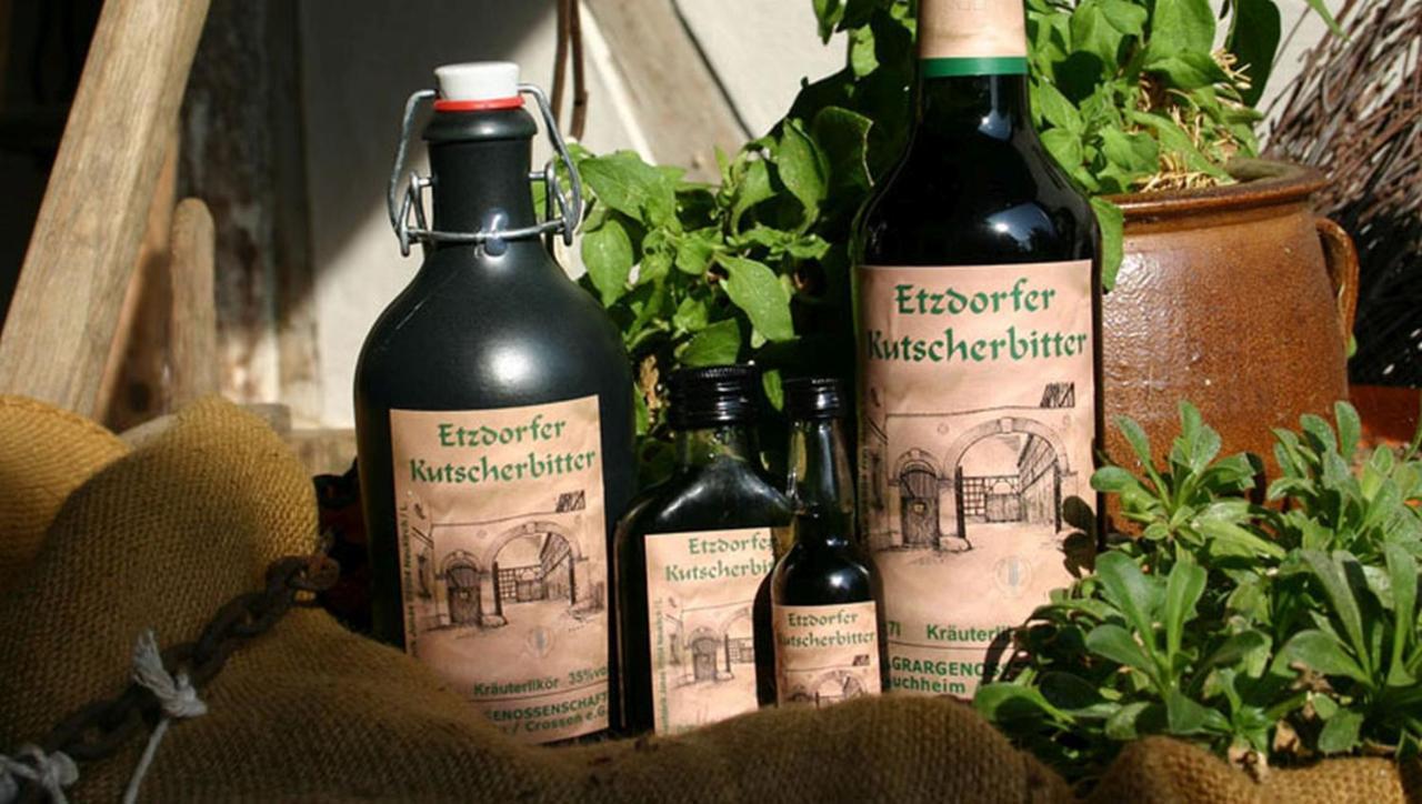 Naturhotel Etzdorfer Hof Schoenburg Zewnętrze zdjęcie
